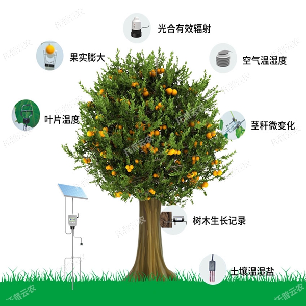 植物生理生態(tài)監(jiān)測(cè)系統(tǒng)有哪些功能優(yōu)勢(shì)？