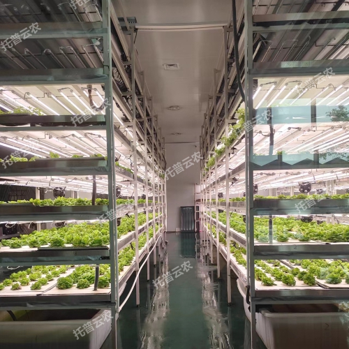 植物細(xì)胞工程實(shí)驗室儀器設(shè)備清單（2024）