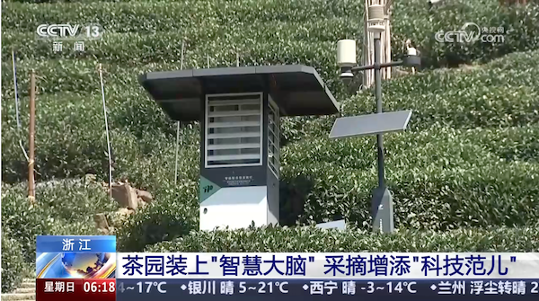 央視、人民網(wǎng)等權(quán)威媒體聚焦西湖龍井：托普云農(nóng)“黑科技”點(diǎn)亮千年茶香智變之路
